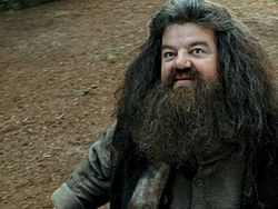 250px-Hagrid.jpg