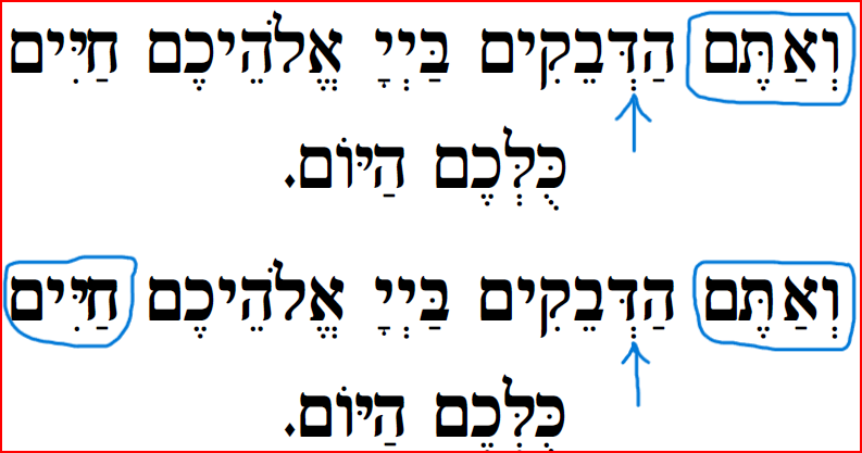 צילום הגופן.png