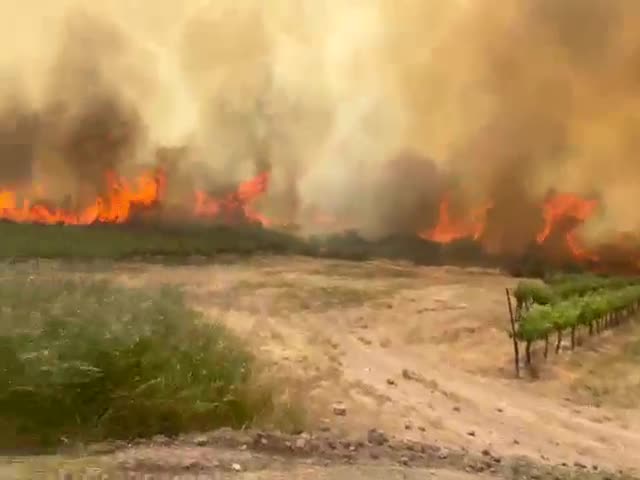 iframe.mediadelivery.net