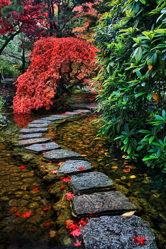 אבנים המובילות דרך גן יפני
