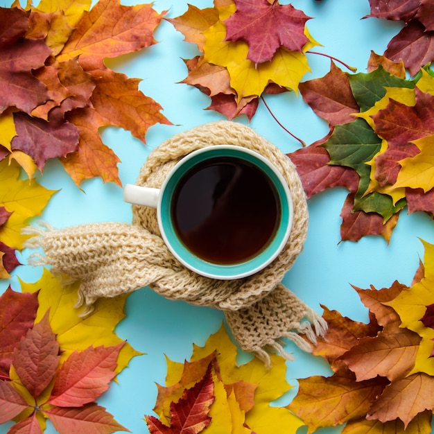 autumn-picture-with-cup-tea-scarf-autumn-leaves_131240-161.jpg