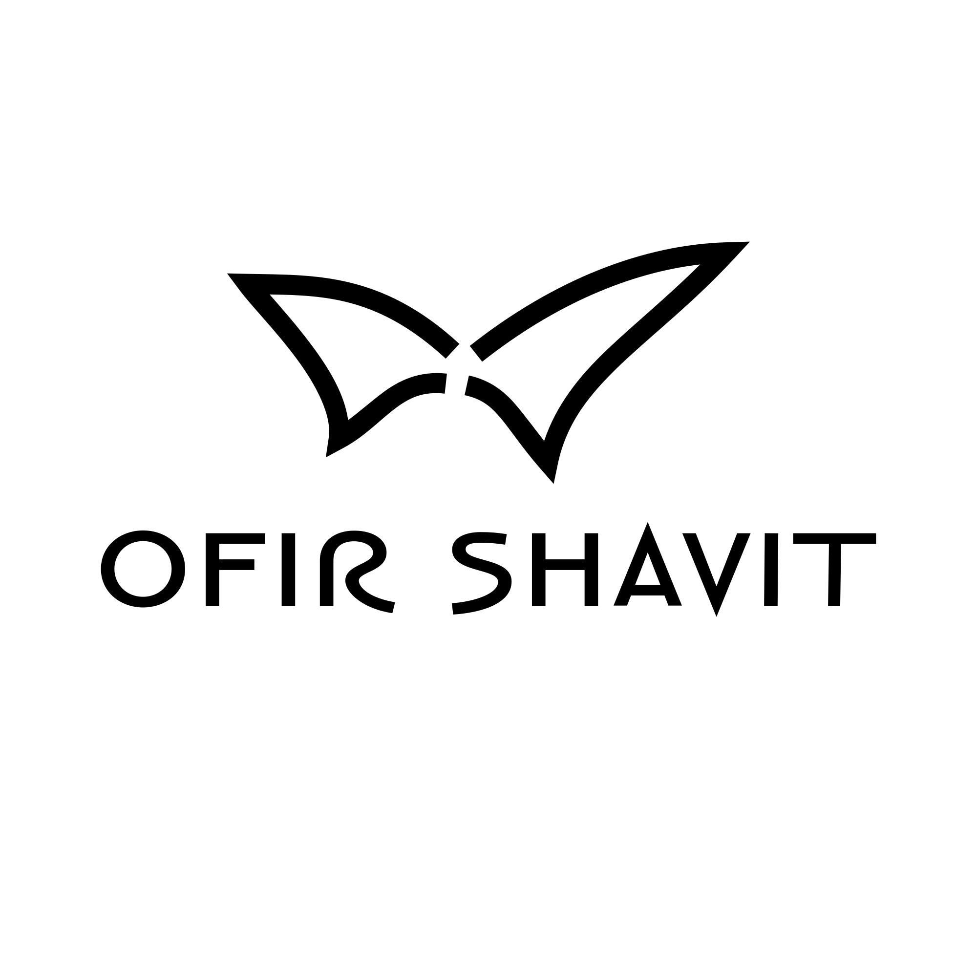 ofirshavit.com