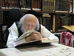 250px-Rabbi_Yosef_Shalom_Elyashiv.jpg