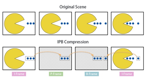 IPB_Compression_EN_s.jpg