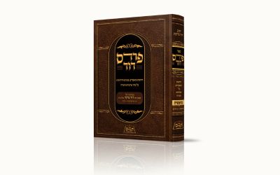 עיצוב ספר 'פרדס דוד' של מ. לוי משדר תחושת אופטימלית עם פרטים מוקפדים, המשקפים השקעה ותשומת לב לכל פרט