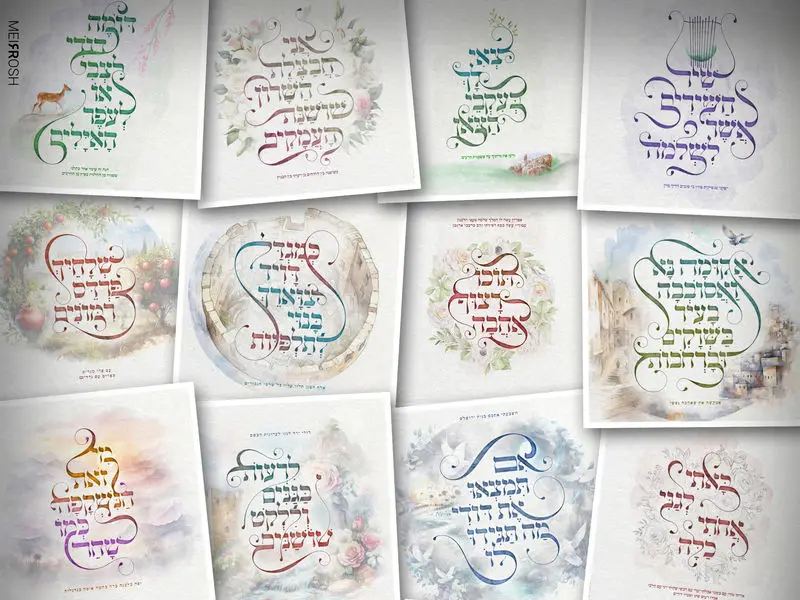 עבודות לאתר פרוג - מאיר ראש2_800x600