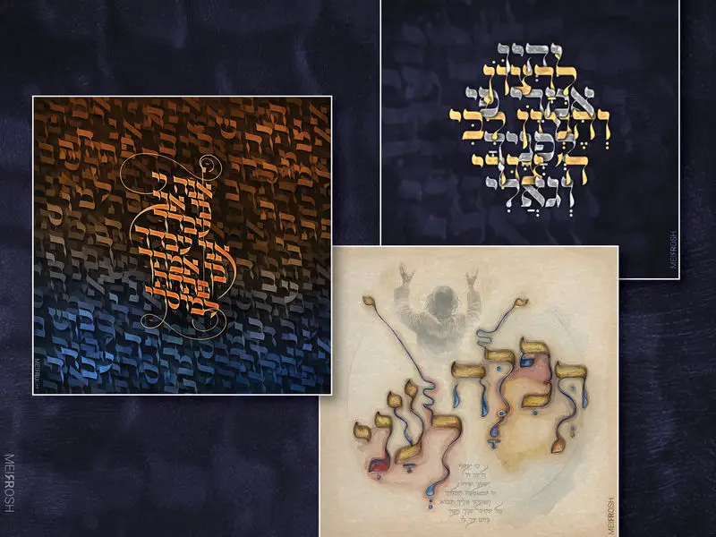 עבודות לאתר פרוג - מאיר ראש6_800x600